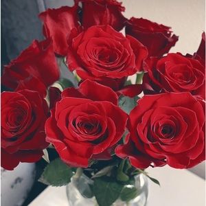 Meet your Posher, Abigail